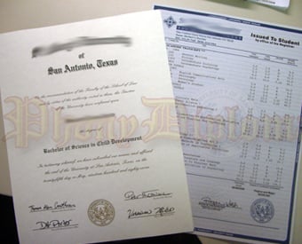 College Fake Diploma and Transcript All Included Package
